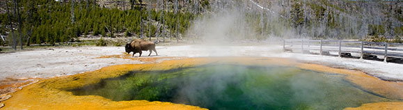 6-Day Yellowstone National Park, Arches National Park, Mt. Rushmore, Grand Teton, Idaho Falls Tour (Starts in LA/LV, Ends in SLC)
