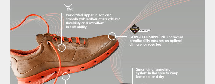 Ray Anklage Lodge ECCO: Shop the new ECCO O2: our most breathable summer shoe! | Milled