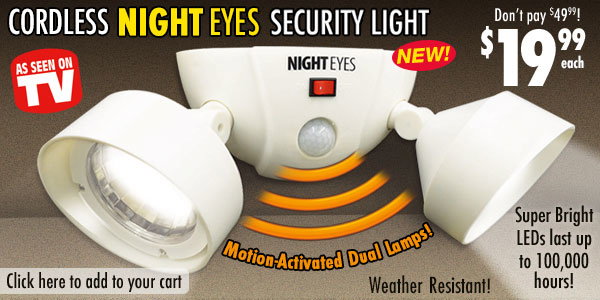 Security Light
