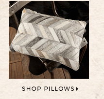 Shop Pillows