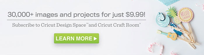 30,000 images and projects for just $9.99!
          Subscribe to Cricut Design Space and Cricut Craft Room