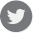 twitter Icon