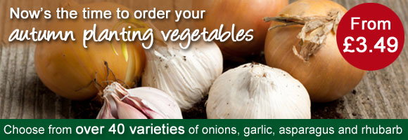 Now's the time to order your autumn planting vegetables