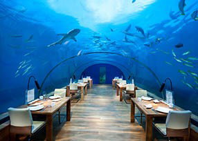 Ithaa Undersea Restaurant