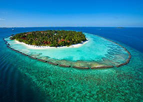 Kurumba