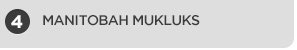 Manitobah Mukluks