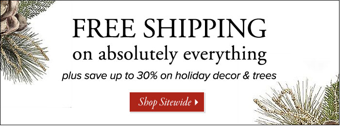 free shipping on everything