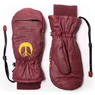 Howl Keegan Mitt