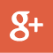 Google+