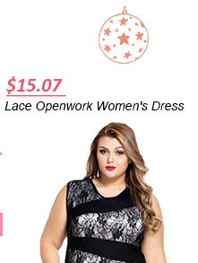 Elegant Round Neck Sleeveless Lace Openwork Women's Dress