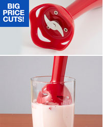 Immersion Blender