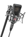 Neumann TLM 103 Anniversary Microphone with Shock Mount and Case