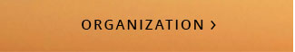 ORGANIZATION