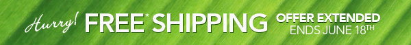 FREE Shipping on All Orders!