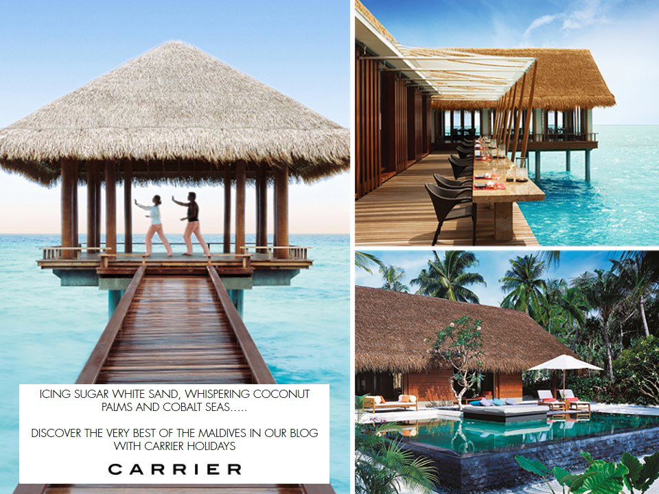 Carrier's Guide to the Maldives