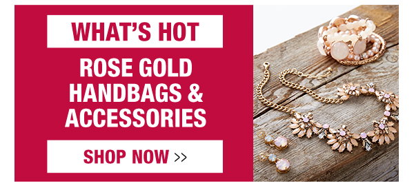 WHAT'S HOT: ROSE GOLD HANDBAGS & ACCESSORIES