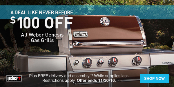 lowes weber gas grill