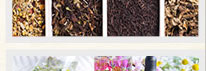 Shop now at Botanic Choice for vitamins and supplements.