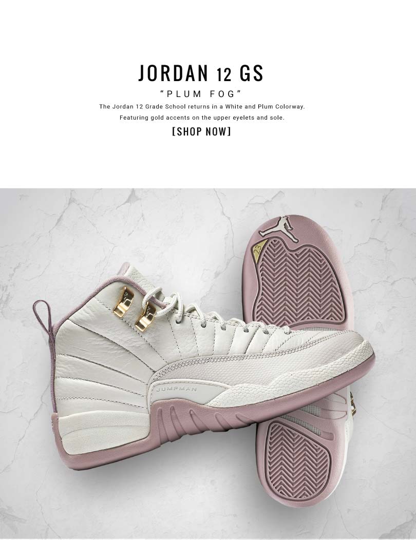 Jordan 12 plum on sale fog