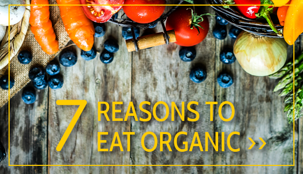 Healthy Directions 7 Reasons To Eat Organic Milled