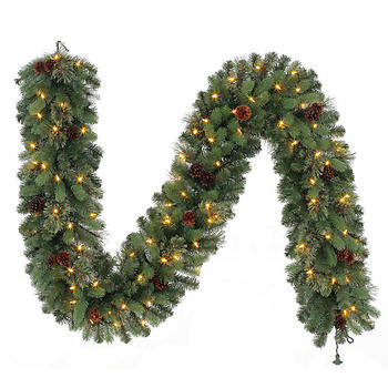Kirkland Signature 9' Pre-Lit LED Garland