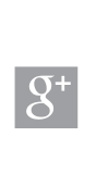 Google+