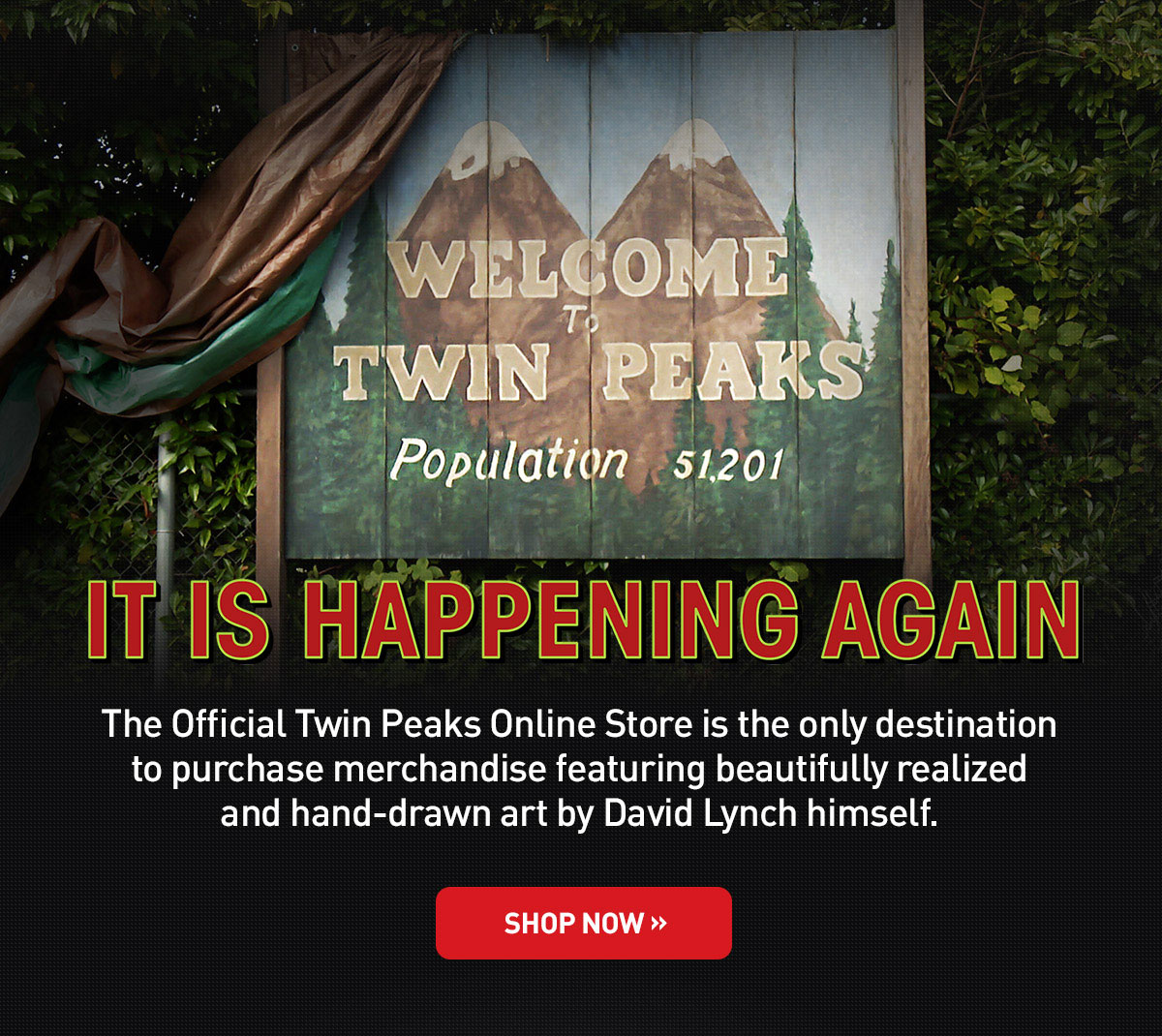 Welcome To Twin Peaks. Shop Now.