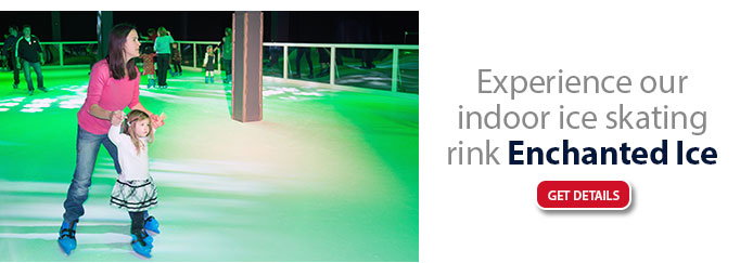Indoor Ice Skating Rink Enchanted Ice