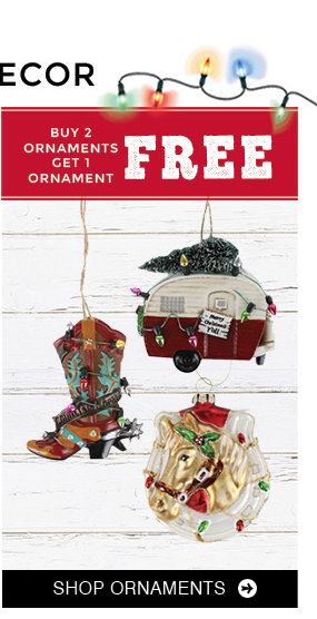 Shop Ornaments »