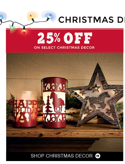 Shop Home Decor »