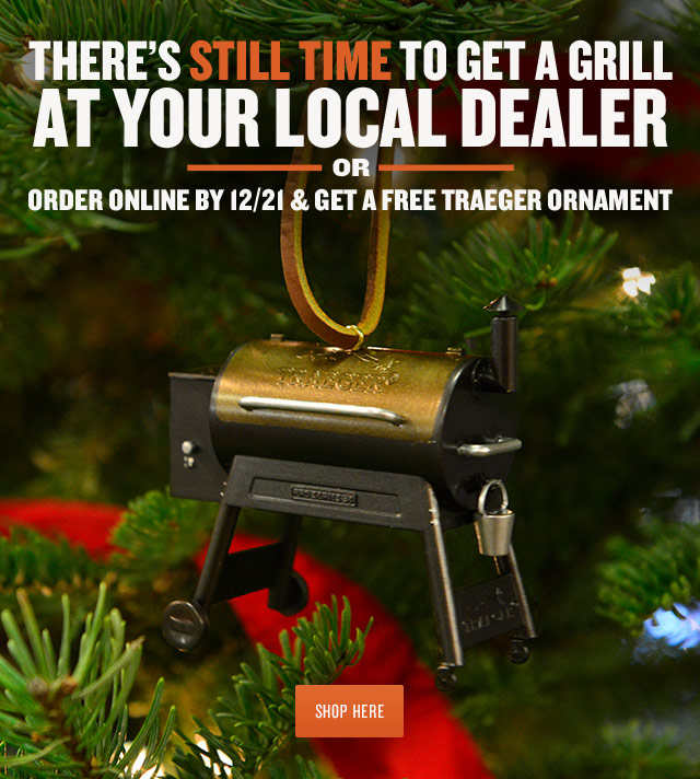 Traeger dealers hotsell near me