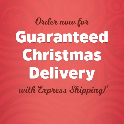 Fingerhut: Fingerhut: Guaranteed Christmas Delivery with Express ...