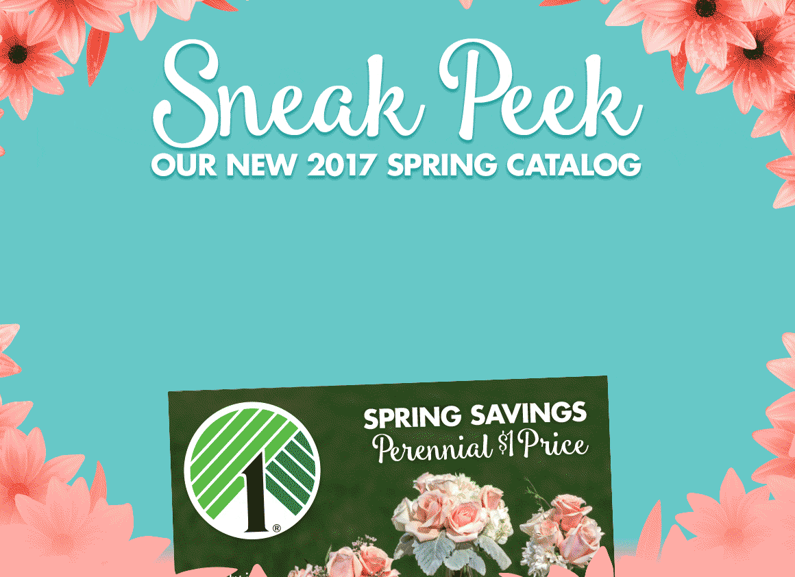 Dollar Tree Sneak Peek Our New Spring Catalog! Milled