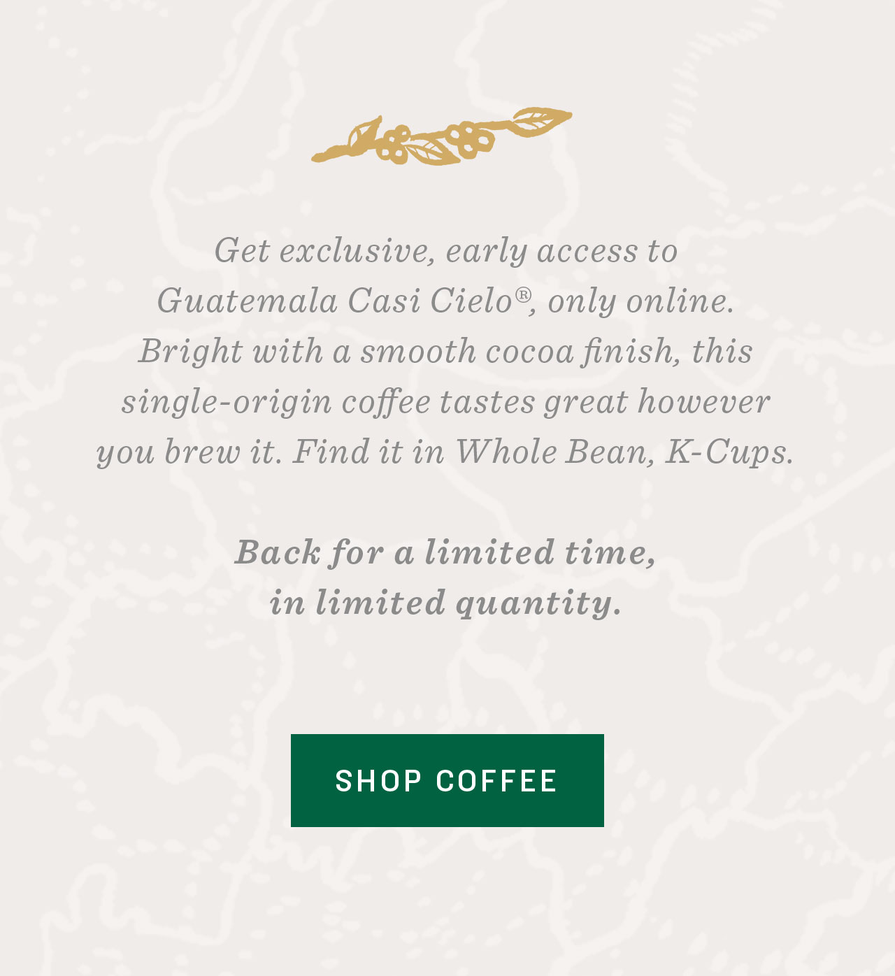 Warm up new drinkware with Casi Cielo 