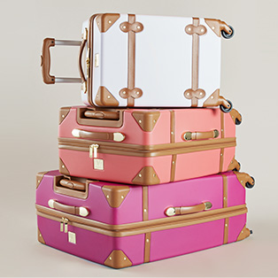 dvf luggage nordstrom rack