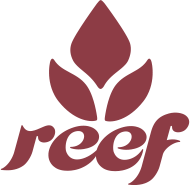 REEF