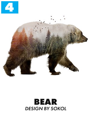 4. Bear