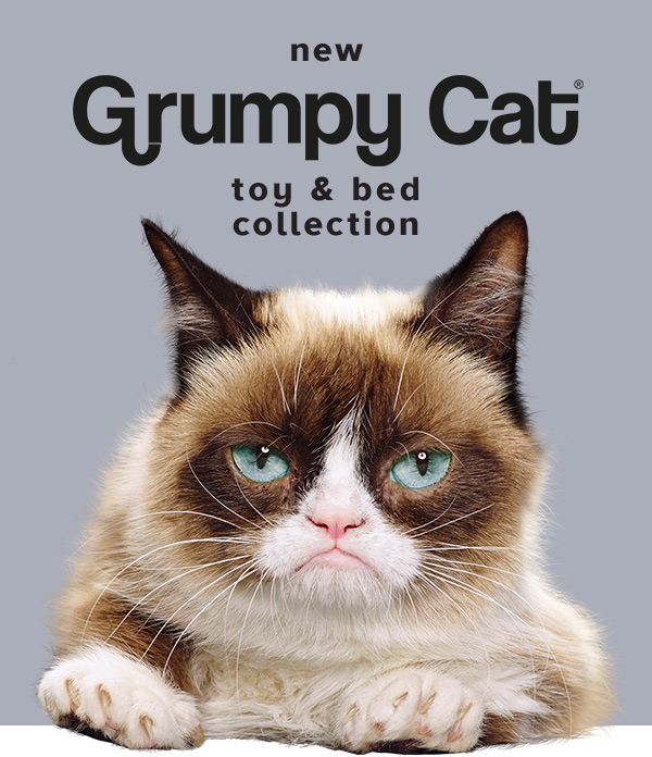 grumpy cat toys petsmart