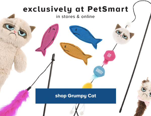 grumpy cat toys petsmart
