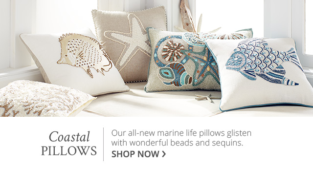 Pier one shop coastal pillows