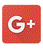 Google +