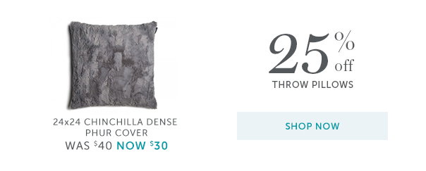 25% off Throw Pillows | 24x24 Chinchilla Dense Phur Cover: Was $40, Now $30 - Shop Now
