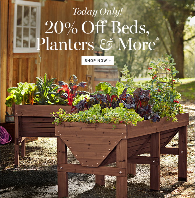 Today Only! 20% Off Beds, Planters & More* - SHOP NOW