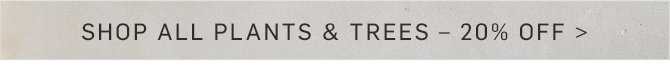 SHOP ALL PLANTS & TREES - 20% OFF