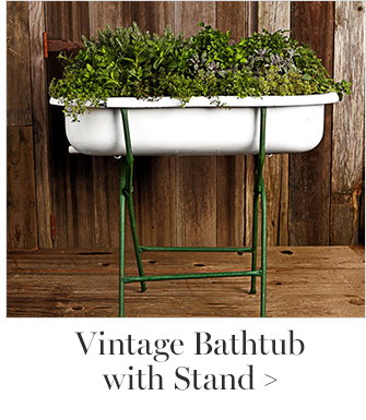 Vintage Bathtub with Stand