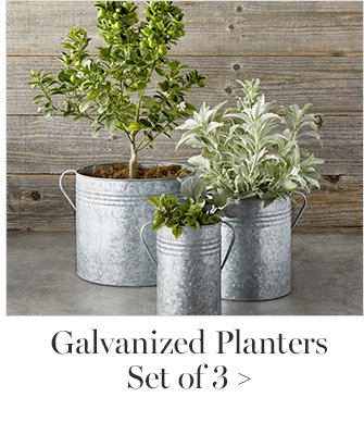 Galvanized Planters Set of 3