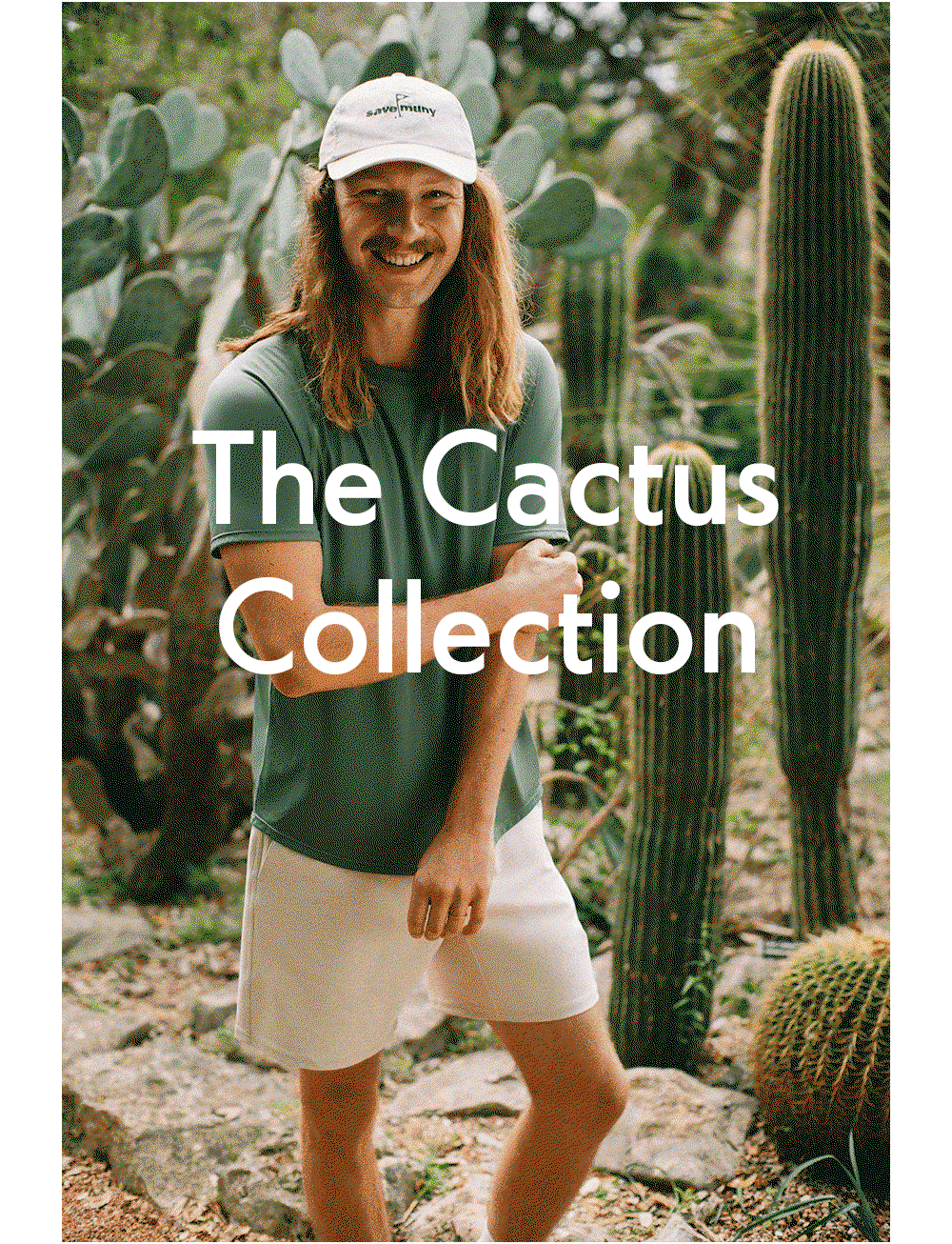 The Cactus Collection