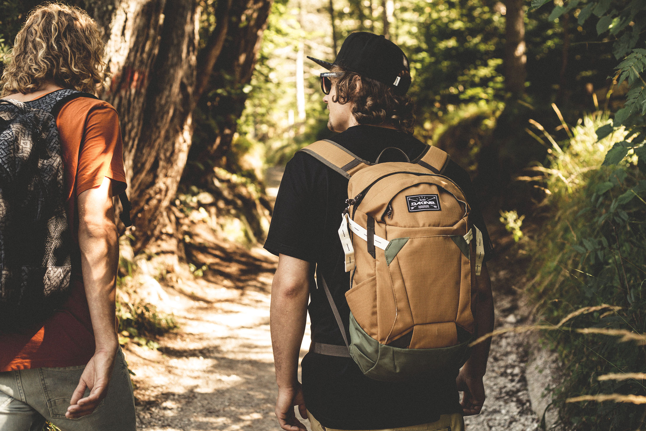 dakine canyon 20l backpack