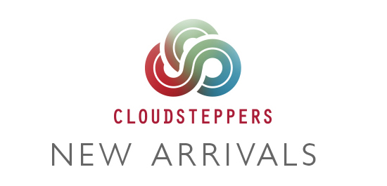 clarks outlet cloudsteppers