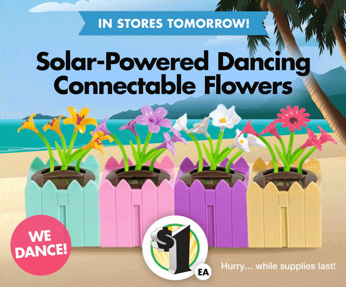 Dollar Tree Want a Peek at Our New Ad? Milled